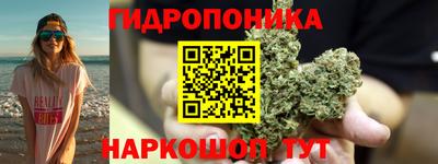 прущие грибы Гусиноозёрск