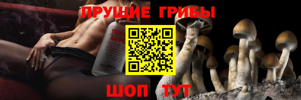 Галлюциногенные грибы Psilocybe Миасс